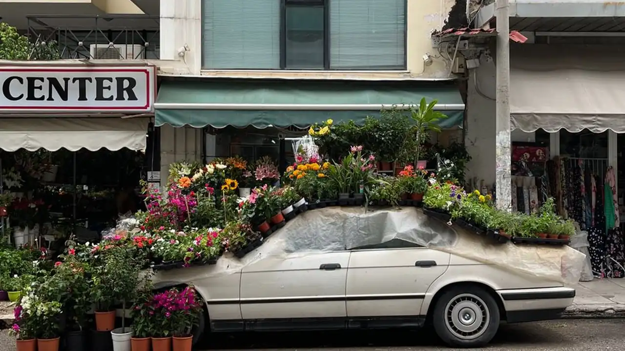 3d成人小游戏图片5
