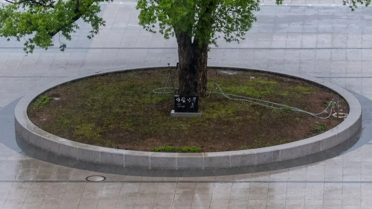 斗阴国际版在线观看相关配图